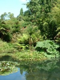 Lost Gardens of Heligan