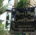 Alpine Lodge Guest House