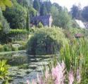 Mount Tavy Cottage