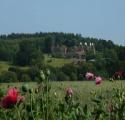 Three Chimneys Farm