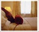 Nine Acres B&B