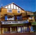 Acton Town Hotel