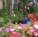 Galway Guest House