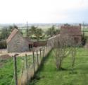 Bere Farm Cottages