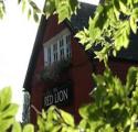 The Red Lion