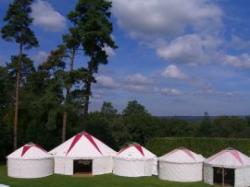 Escot Camp Wild, Ottery St Mary, Devon