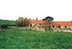 Lamberlea