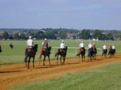 National Horseracing Museum