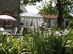 Daisy Centres Retreat, Glastonbury, Somerset