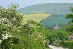 South Downs National Park, Midhurst, Sussex