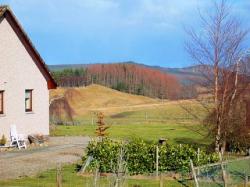 Wildhaven Cottage, Inverness, Highlands