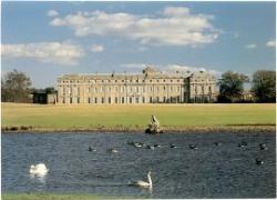 Petworth House & Park