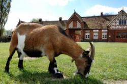 Easton Farm Park