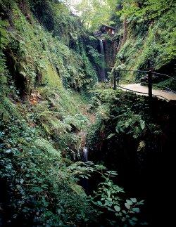 Shanklin Chine