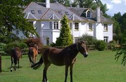 Woodlands Lodge Hotel (The), Southampton, Hampshire