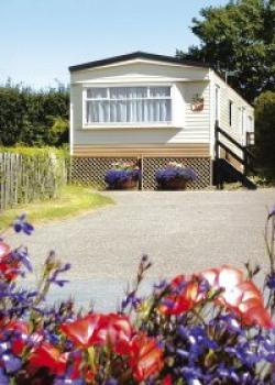 Webbers Country Park, Exmouth, Devon