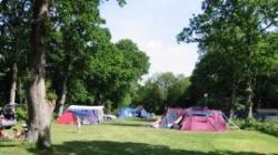 Pear Tree Touring Park, Organford, Dorset