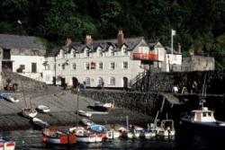 Red Lion Hotel (The), Clovelly, Devon