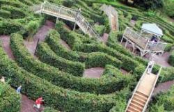 Escot Gardens, Maze & Forest Adventure, Ottery St. Mary, Devon