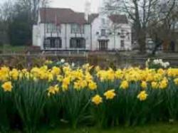 Greyhound Hotel, Carshalton, Surrey