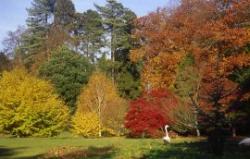 Batsford Arboretum