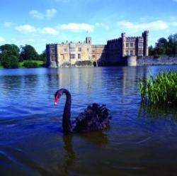 Leeds Castle and Gardens, Maidstone, Kent