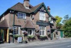 Martins Pond, Berkhamsted, Hertfordshire