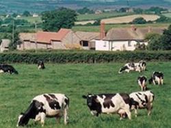 Rydon Farm, Woodbury, Devon