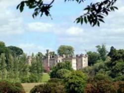 Cabra Castle Hotel, Kingscourt, Cavan