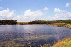 Ray Demesne, Kirkwhelpington, Northumberland