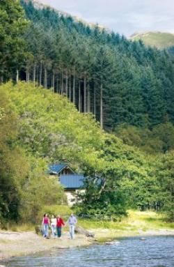 Strathyre Forest, Callander, Perthshire