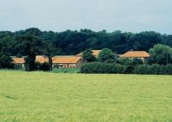 Bertha at Dairy Farm, North Walsham, Norfolk