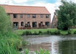 Ringlet, Stalham, Norfolk