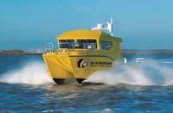 Bumblebee Boat Cruises