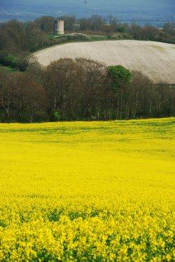 Oxfordshire