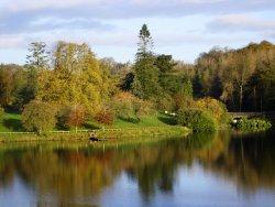 County Tyrone