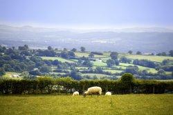 Herefordshire