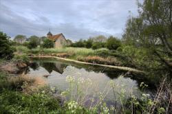 The Darling Buds of May, Kent