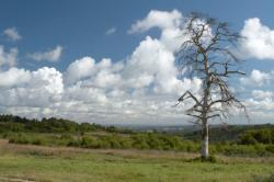 Pooh Country, Sussex