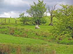Bronte Lancashire, Lancashire