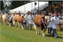 Driffield Show