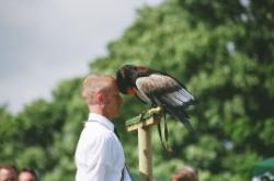 Birds of Prey weekend