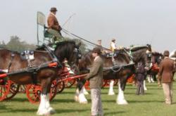 Orsett Show