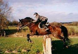 Chiddingly Horse Show & Fun Dog Show