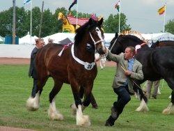 Fenland Country Fair