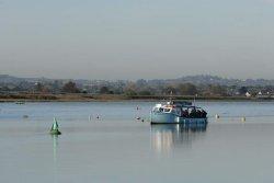 RSPB Photography Cruise