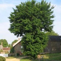 Tolpuddle Martyrs Sentenced