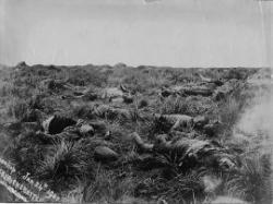 Battle of Spion Kop