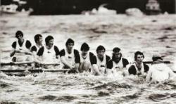 Cambridge Sink In Boat Race