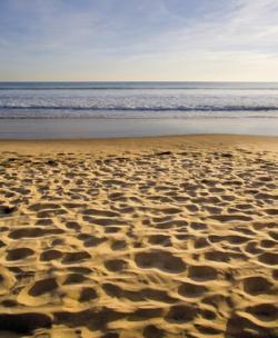 Slapton Sands Friendly Fire Disaster